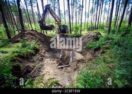 23 juillet 2020, Brandebourg, Grünheide/OT Störitz: Mathieu Barnis de la compagnie Arikon a découvert l'entrée d'un ancien soute russe avec sa pelle hydraulique à côté d'un chemin forestier. La construction du bunker est une mesure de compensation pour les interventions dans la nature au sud du site de Tesla. La structure souterraine en béton doit être utilisée par les chauves-souris pour hiberner pendant la saison froide à venir. Photo: Soeren Stache/dpa-Zentralbild/ZB Banque D'Images