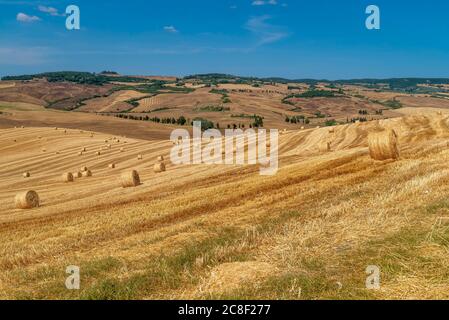 Un grand nombre de balles rondes de foin dans la campagne siennoise près de Pienza en été, en Toscane, en Italie Banque D'Images