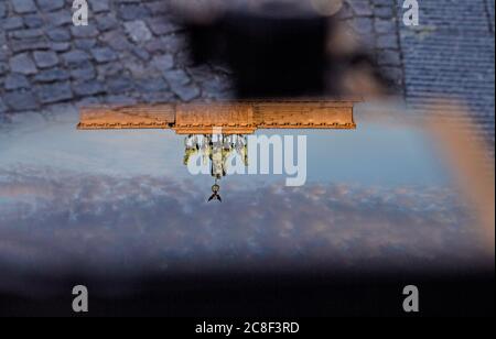 Berlin, Allemagne. 24 juillet 2020. La porte de Brandebourg se reflète dans l'affichage d'un e-scooter. Credit: Paul Zinken/dpa-zb-zentralbild/dpa/Alay Live News Banque D'Images