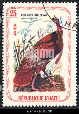 Timbre-poste. Meleagris gallopavo (Turquie sauvage), République d'Haïti, 1980 Banque D'Images