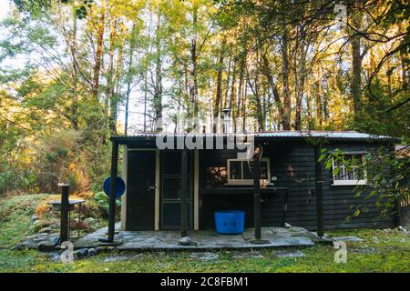 Un classique Kiwi Bush bach situé dans une forêt dense sur la côte ouest de l'île du Sud de la Nouvelle-Zélande Banque D'Images