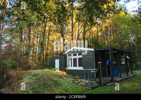 Un classique Kiwi Bush bach situé dans une forêt dense sur la côte ouest de l'île du Sud de la Nouvelle-Zélande Banque D'Images