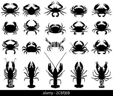 Silhouettes noires de crabes et de crabes sur fond blanc Banque D'Images