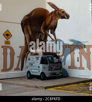 GRAND GRAFFITI KANGAROO SUR UN MUR DE LA RUE DE DARWIN EN AUSTRALIE ; NOVEMBRE-2019- DARWIN-AUSTRALIE ; Banque D'Images