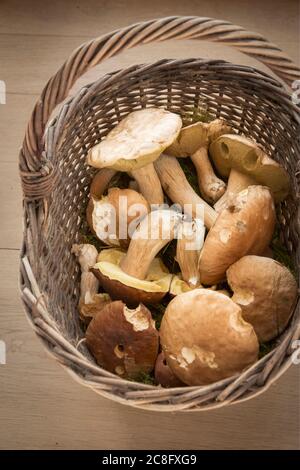 Champignons dans un panier, droits d'auteur irlandais et britannique uniquement disponibles. Contactez le bureau pour obtenir des droits supplémentaires. Banque D'Images