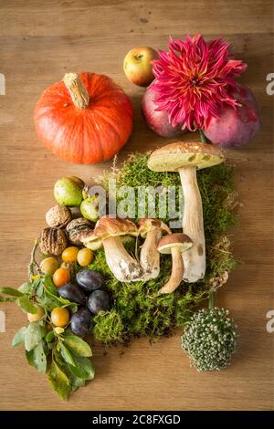 Les droits d'automne STILL Life au Royaume-Uni et en Irlande sont disponibles uniquement. Contactez le bureau pour obtenir des droits supplémentaires. Banque D'Images