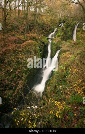 Stockghyll Force à Ambleside dans le parc national du district de Lake anglais, Cumbria, Angleterre. Banque D'Images