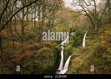 Stockghyll Force à Ambleside dans le parc national du district de Lake anglais, Cumbria, Angleterre. Banque D'Images