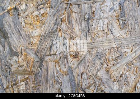 Texture du panneau de particules ( aggloméré ). Matériau naturel brut fait de copeaux et de flocons de bois comprimés et pressés Banque D'Images
