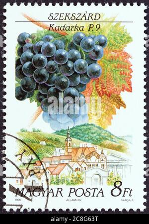 HONGRIE - VERS 1990: Un timbre imprimé en Hongrie à partir du numéro "raisins et régions du vin (1ère série)" montre Kadarka, Szekszard, vers 1990. Banque D'Images