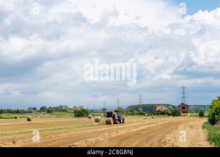 Balles de foin produites par une machine spéciale dans un champ dans la campagne toscane, Bientina, Pise, Italie, sous un beau ciel Banque D'Images