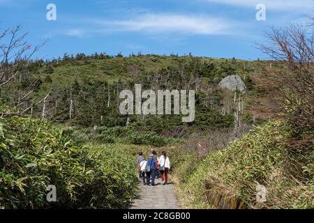 Sentier de montagne du parc national de Towada-Hachimantai. Banque D'Images