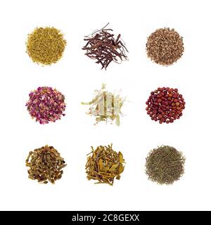 Collection de 9 types de tisane isolée Banque D'Images