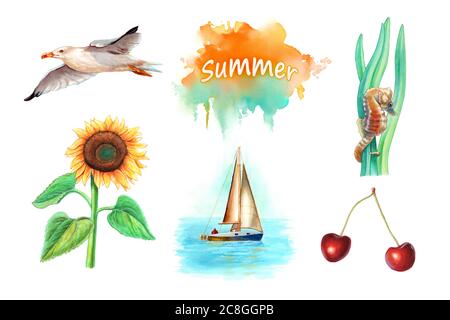 Collection de cinq illustrations d'aquarelle sur le thème de l'été, dont un mouette, un tournesol, un hippocampe, un voilier et quelques cerises. Le col de l'eau traditionnel Banque D'Images
