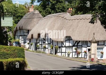 Jolies maisons de chaume dans le village Hampshire de Wherwell, Angleterre, Royaume-Uni, pendant l'été Banque D'Images