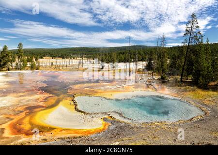 Le geyser de printemps de firehole dans le parc national de Yellowstone. Banque D'Images