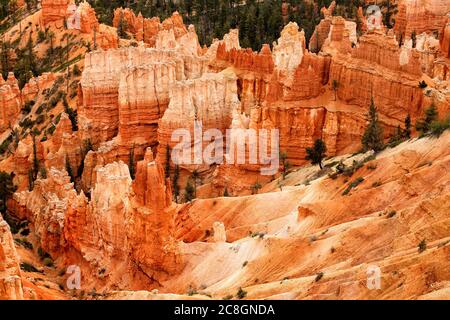 Formations de grès dans le parc national de Bryce Canyon. Banque D'Images