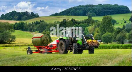 Tracteur chargeant des balles de foin Banque D'Images