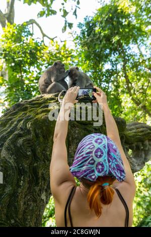 Tourisme prenant des photos de singes à Ubud Banque D'Images