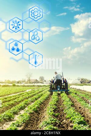 Un agriculteur conduit un tracteur à travers le champ de plantation de pommes de terre et les hexagones avec des innovations. Science de l'agronomie. Amélioration de la qualité et de la croissance du rendement. Banque D'Images