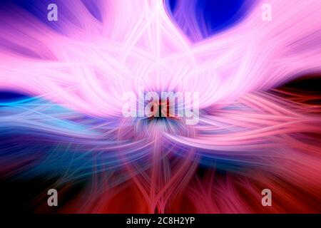 De belles fibres 3d abstraites entrelacées formant une forme d'éclat, de flamme ou de fleur. Couleurs rose, bleu et rouge. Illustration. Banque D'Images