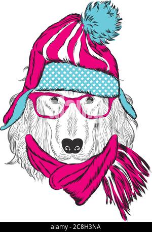 Husky dans un élégant chapeau, écharpe et lunettes. Un chien d'origine en vêtements et accessoires. Mode et style. Illustration vectorielle. Illustration de Vecteur