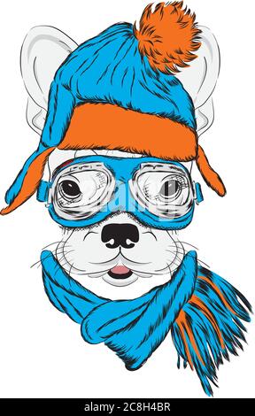 Husky dans un élégant chapeau, écharpe et lunettes. Un chien d'origine en vêtements et accessoires. Mode et style. Illustration vectorielle. Illustration de Vecteur