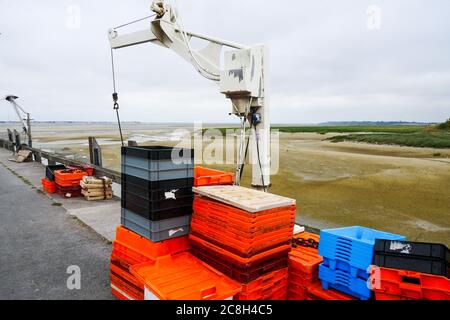 L'embouchure de la somme à marée basse, le Hourdel, Cayeux sur Mer, somme, hauts-de-France, France Banque D'Images