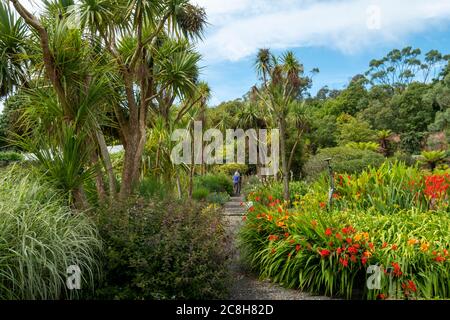 Logan Botanic Gardens, de Rhins of Galloway, Scotland, UK Banque D'Images