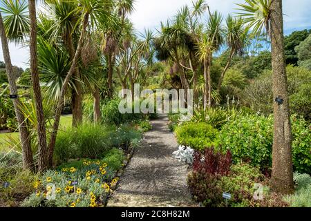 Logan Botanic Gardens, de Rhins of Galloway, Scotland, UK Banque D'Images