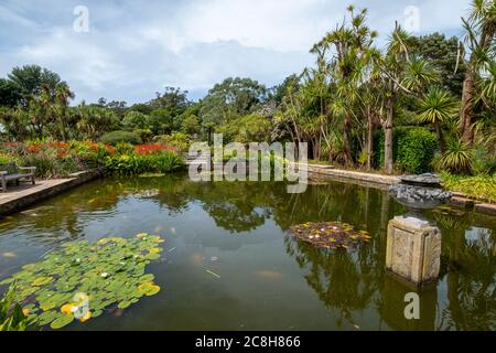 Logan Botanic Gardens, de Rhins of Galloway, Scotland, UK Banque D'Images