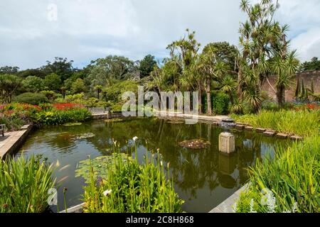 Logan Botanic Gardens, de Rhins of Galloway, Scotland, UK Banque D'Images