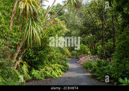 Logan Gardens, près de Stranraer, Dumfries et Galloway, Écosse . Banque D'Images