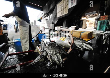 Editorial TOKYO, JAPON- MAI 2010 : marché de Tsukiji est un grand marché aux poissons dans le centre de Tokyo. Le marché est composé de petites boutiques et restaurants foule Banque D'Images