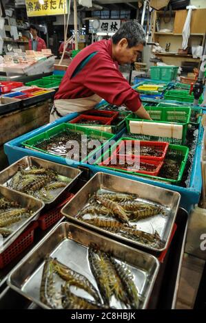 Editorial TOKYO, JAPON- MAI 2010 : marché de Tsukiji est un grand marché aux poissons dans le centre de Tokyo. Le marché est composé de petites boutiques et restaurants foule Banque D'Images