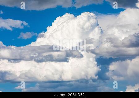 Cumulonimbus calvus s'édifier au-dessus des Little Missouri National Grasslands dans le Dakota du Nord, aux États-Unis Banque D'Images