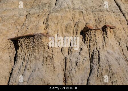 Érosion différentielle avec le plateau de roche dure et les sédiments mous le long du sentier de la nature Caprock Coulee dans le parc national Theodore Roosevelt, unité Nord, Nord Banque D'Images