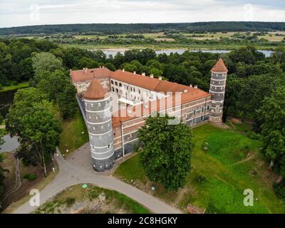 Château historique de Panemune à Vytenai, district de Jurbarkas, Lituanie, près de la rivière Nemunas Banque D'Images