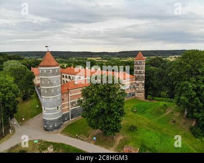Château historique de Panemune à Vytenai, district de Jurbarkas, Lituanie, près de la rivière Nemunas Banque D'Images
