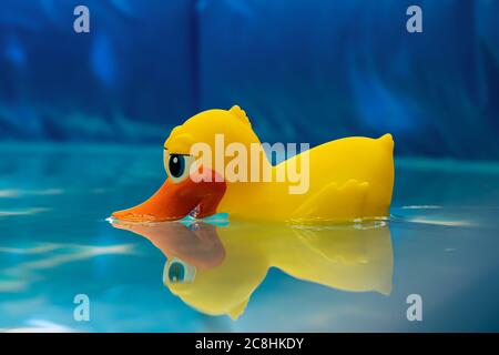 Un thermomètre jaune de canard solitaire dans une piscine gonflable fait son travail. Photo rapprochée sur un cadre bleu de la piscine et eau cristalline Banque D'Images