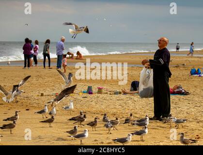 Delaware, Etats-Unis 10/04/2014: Un vieil homme en vêtements noirs jette des morceaux de pain sur les mouettes de la plage. Des oiseaux se sont rassemblés autour de lui et quelques-uns volent Banque D'Images