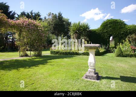 Jardin intérieur et plantes Banque D'Images