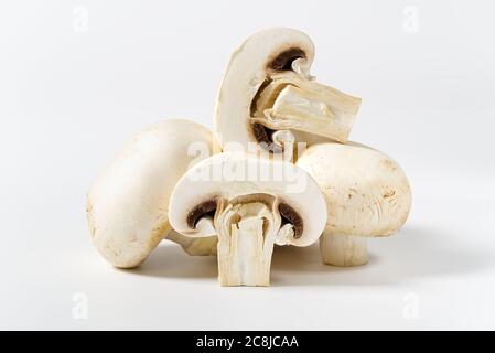 Champignons frais macro pousse. Gros plan sur du champaignon blanc. Banque D'Images