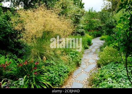 Jardin d'été anglais luxuriant - John Gollop Banque D'Images