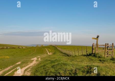 Une allée sur Ditchling Beacon le long de South Downs Way à Sussex, une soirée ensoleillée Banque D'Images