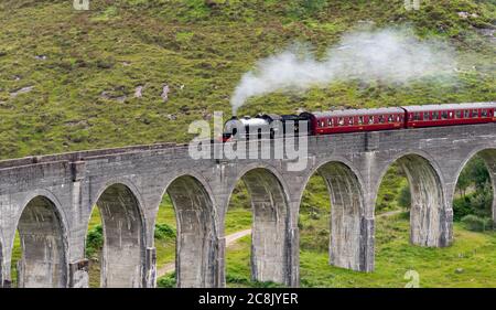 TRAIN À VAPEUR JACOBITE WEST HIGHLAND LINE ÉCOSSE EN ÉTÉ, LE TRAIN ET DEUX WAGONS TRAVERSENT LA PREMIÈRE PARTIE DU VIADUC DE GLENFINNAN Banque D'Images