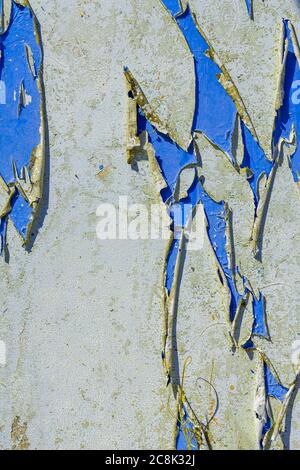 peinture bleue décolorée sur un vieux morceau de bois. contraste casse Banque D'Images