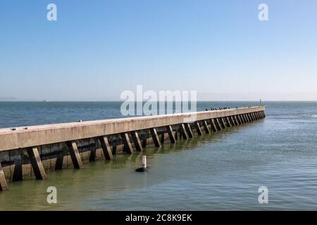 Oiseaux perchés sur une jetée sur le front de mer de San Francisco, avec un ciel bleu au-dessus Banque D'Images