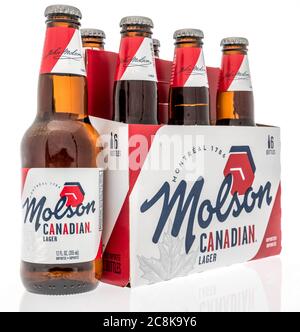 Winneconne, WISCONSIN - 12 juillet 2020 : six bières de bière lager Molson sur un fond isolé Banque D'Images