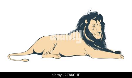 Grand lion mâle couché sur fond blanc Illustration de Vecteur